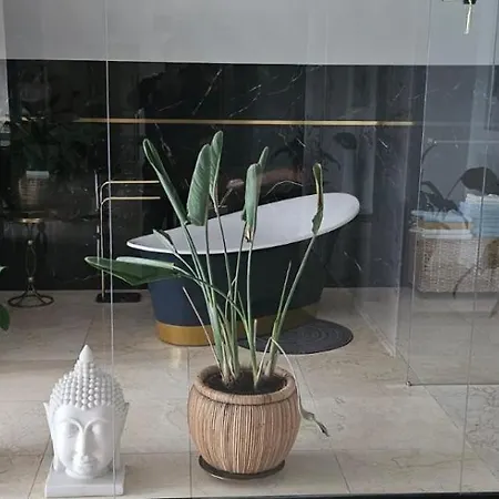 Luxury Penthouse Near Centre Of Lägenhet Wrocław